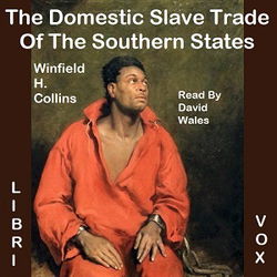 The Domestic Slave Trade Of The Southern States - Poster