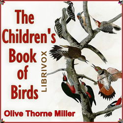 The Children's Book of Birds - Poster