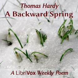 A Backward Spring - Poster
