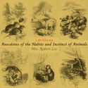 Anecdotes of the Habits and Instinct of Animals - Poster