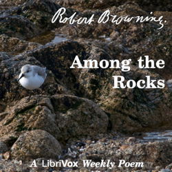 Among The Rocks - Poster