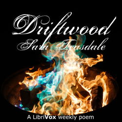 Driftwood - Poster