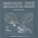 Wayside and Woodland Trees: A pocket guide to the British sylva - Poster