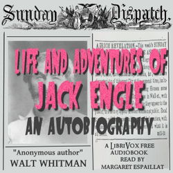 Life and Adventures of Jack Engle: An AutoBiography - Poster