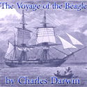 The Voyage of the Beagle - Poster