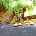 The Tale of Frisky Squirrel - Poster