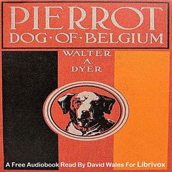 Pierrot, Dog Of Belgium - Poster