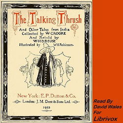 The Talking Thrush And Other Tales From India - Poster