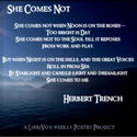 She Comes Not - Poster