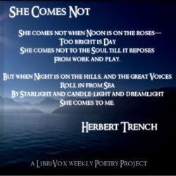 She Comes Not - Poster