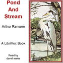 Pond And Stream - Poster