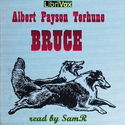 Bruce - Poster