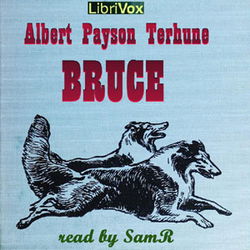 Bruce - Poster