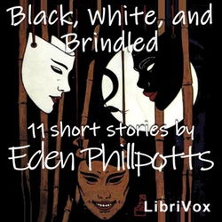 Black, White and Brindled - Poster