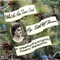 What The Pine Tree Said - Poster