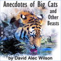 Anecdotes of Big Cats and Other Beasts - Poster