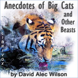 Anecdotes of Big Cats and Other Beasts - Poster