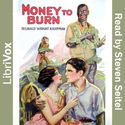 Money to Burn, An Adventure Story - Poster