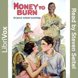 Money to Burn, An Adventure Story - Poster