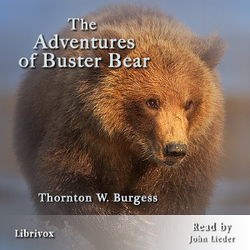 The Adventures of Buster Bear - Poster