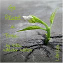 Go Plant A Tree - Poster