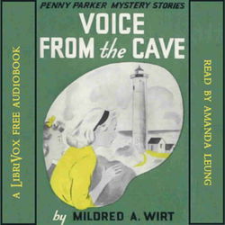 Voice From the Cave - Poster