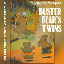 Buster Bear's Twins - Poster
