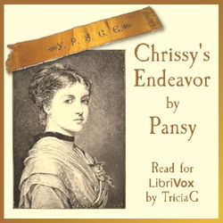 Chrissy's Endeavor - Poster