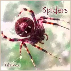Spiders - Poster Spiders - Poster