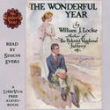 The Wonderful Year - Poster