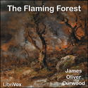 The Flaming Forest - Poster