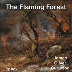 The Flaming Forest - Poster