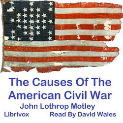 The Causes Of The American Civil War - Poster