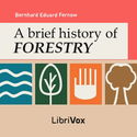 A Brief History of Forestry - Poster