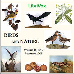 Birds and Nature, Vol. IX, No 2, February 1901 - Poster