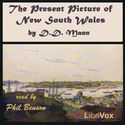 The Present Picture of New South Wales - Poster