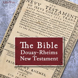 The Bible, Douay-Rheims, New Testament - Poster