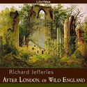 After London, or Wild England - Poster