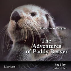 The Adventures of Paddy Beaver - Poster