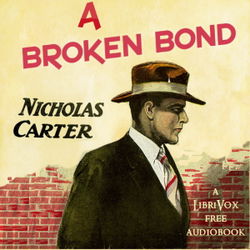 A Broken Bond - Poster