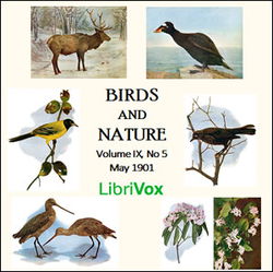 Birds and Nature, Vol. IX, No 5, May 1901 - Poster
