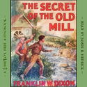 The Secret of the Old Mill - Poster