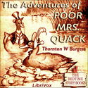 The Adventures of Poor Mrs. Quack (version 2) - Poster