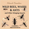 Wild Bees, Wasps and Ants and Other Stinging Insects - Poster