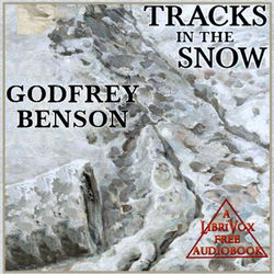 Tracks in the Snow - Poster