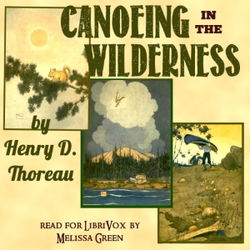 Canoeing in the Wilderness - Poster