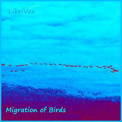 Migration of Birds - Poster