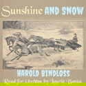 Sunshine and Snow - Poster