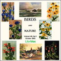 Birds and Nature, Vol. VIII, No 3, October 1900 - Poster