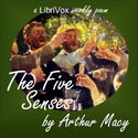 The Five Senses - Poster